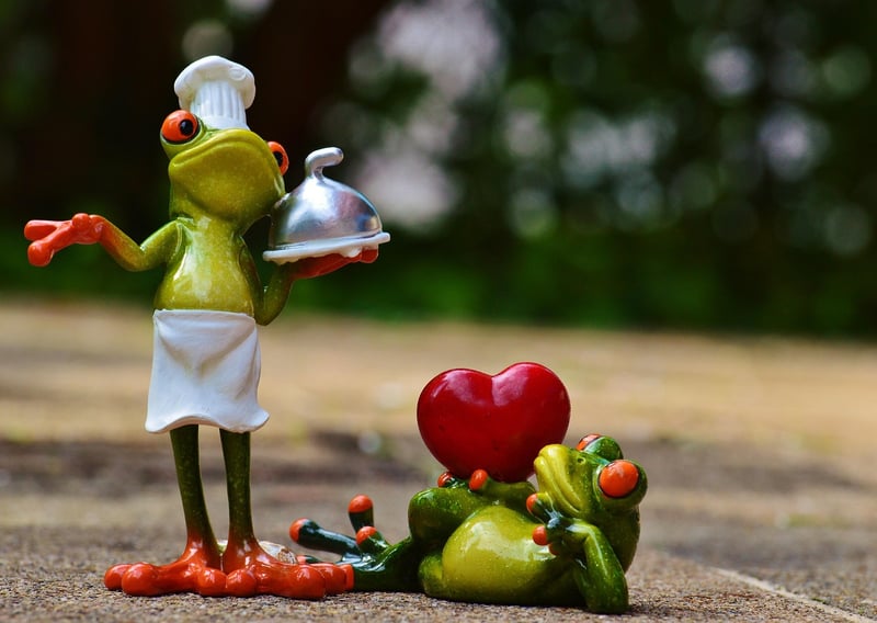 Gourmet Cooking